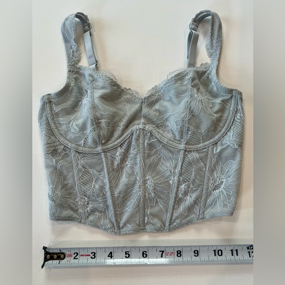 Gilly Hicks Lace Bustier in Soft Gray Floral Stitching Medium - Picture 3 of 9